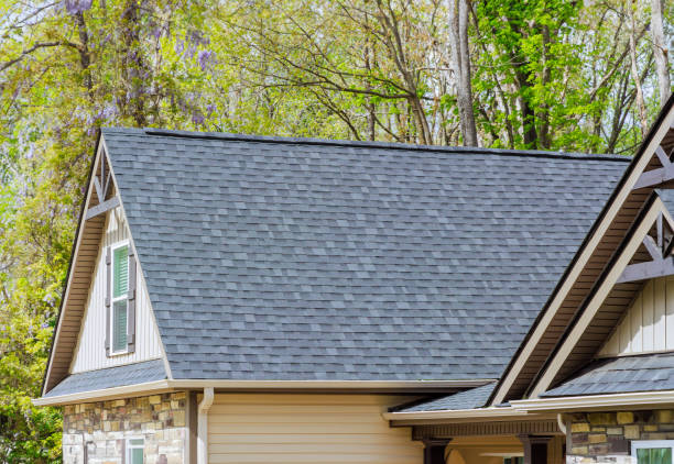 Roof Moss and Algae Removal in Magnolia, NC